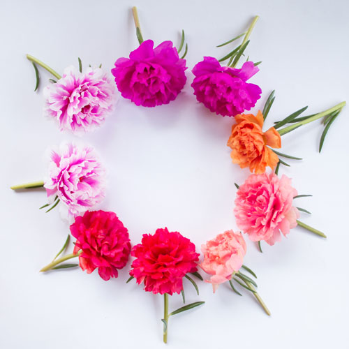 Tribute Frame Flower Picks 