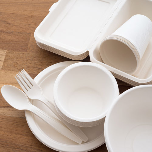 Disposable Tableware