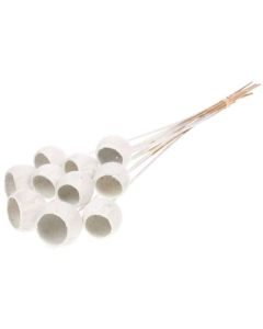 Bell Cup White Misty Lamboo Dried & Deco