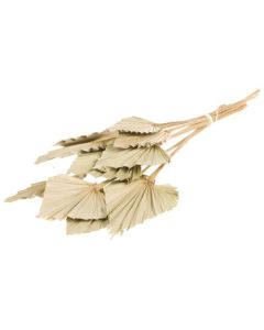 Palmspear 10pc Natural Lamboo Dried & Deco