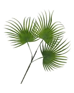 Palm Leaf Spray 60cm Dark Green Florist Supplies