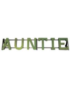 Auntie Foam With Frame