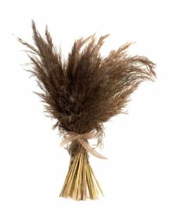Bouquet Bordoy Reed