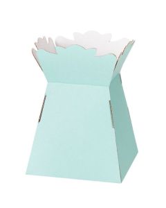 Powder Blue Living Vases Pk25 Oasis