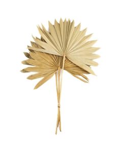Bundle Palm Sun 40-50cm Natural