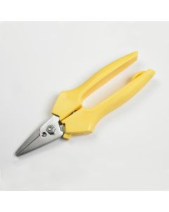 Oasis Snip