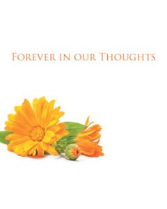 Large Cards Forever In Our Thoughts Orange Flowers