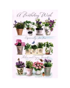 Birthday C75 Pk6 Simon Elvin