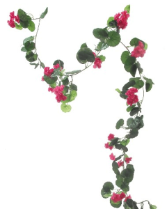 GERANIUM GARLAND HOT PINK