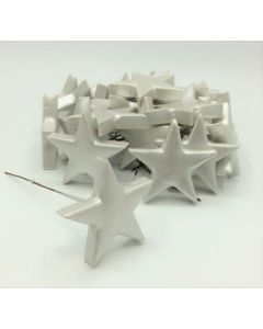 Star Christmas Pick