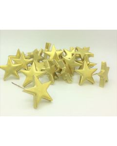 Gold Star Christmas Pick