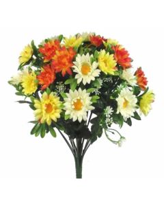 Daisy Bush With Foliage Ivory/Yellow/Orange