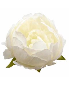 9-10cm Large Peony Flower Head Ivory