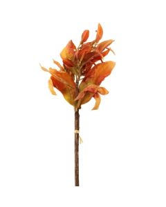 50cm Dried Image Leaf Bundle Orange