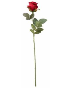 Velvet Single Rose Red