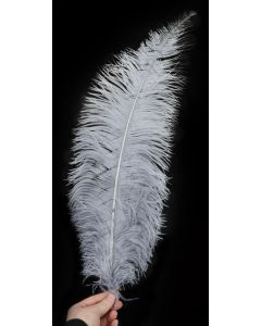 Silver/Grey Ostrich Style Feathers x10 40-60cm approx.