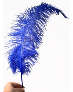 Royal Blue Ostrich Feathers x10 40-60cm approx.