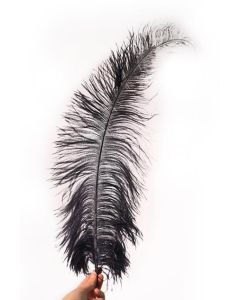 Navy Feather x10 40-60cm approx.