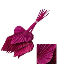 Palm Spear, Dyed Purple, Bunch of 10 Stems
