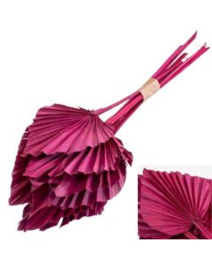 Palm Spear, Dyed Red, Bunch of 10 Stems