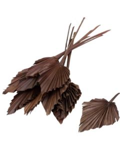Palm Spear, Dyed Deep Brown, Bunch of 10 Stems