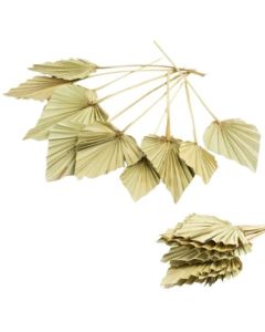 Palm Spear, Natural, Bunch of 10 Stems
