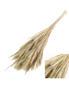Fox Tail, Natural, Bunch
