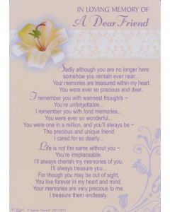 Grave Friend C35 Pk6 Xpress Yourself