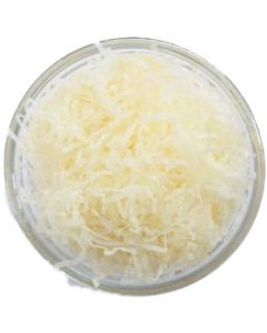 Shredded Tissue Cream 1kg
