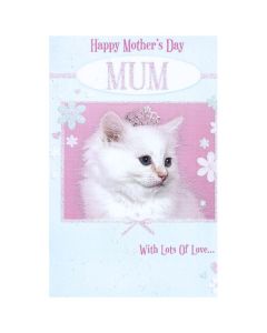 Open Mother's Day C50 Pk6 Xpress Yourself