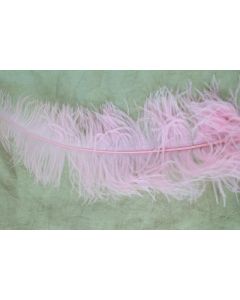 Pink Ostrich Style Feathers x10 40-60cm approx.