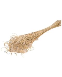 Curly Ting Ting Palm 100pc Natural Lamboo Dried & Deco