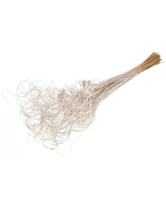 Curly Ting Ting Palm 100pc White Misty Lamboo Dried & Deco