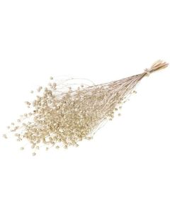 Linum Champage Gold Lamboo Dried & Deco