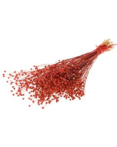 Linum Red Red Glitter - 00342.069.0