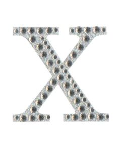 Letter X Sticker