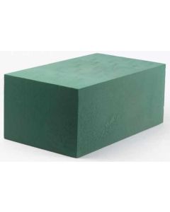 Oasis Wet Foam Jumbo 1