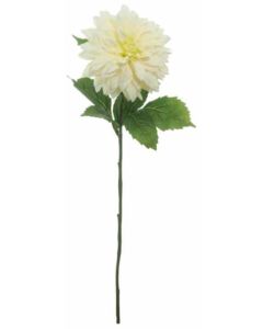 Silk Monarch Dahlia Ivory