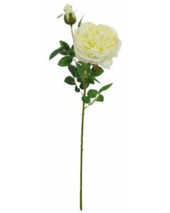 Silk Single English Rose Cream