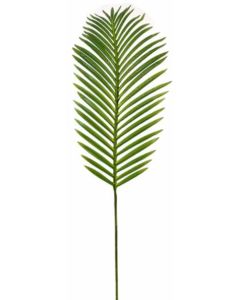Small Tropical Fern Leaf Natural Green