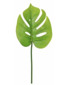 Mini Monstera Stem Natural Green