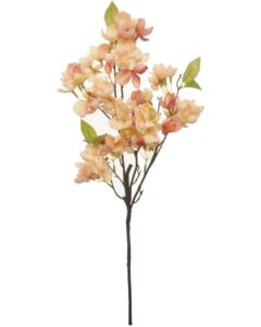 Orchard Blossom Branch Coral Blush