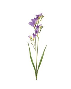 Freesia Spray Purple 2 Heads 69cm