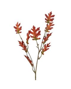 Harvest Oak Leaf Orange
