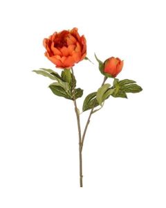 Harvest Peony Orange 50cm