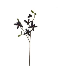 Jewel Magnolia Spray Midnight