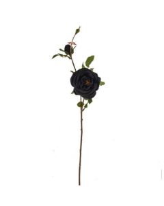 Jewel Rose Spray Midnight