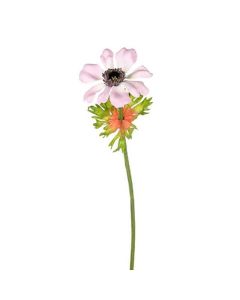 Anemone Stem Light Pink
