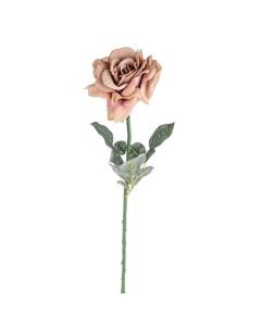 Open Rose Stem Peach 66cm