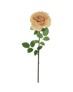 Silk Single Tudor Rose Champagne